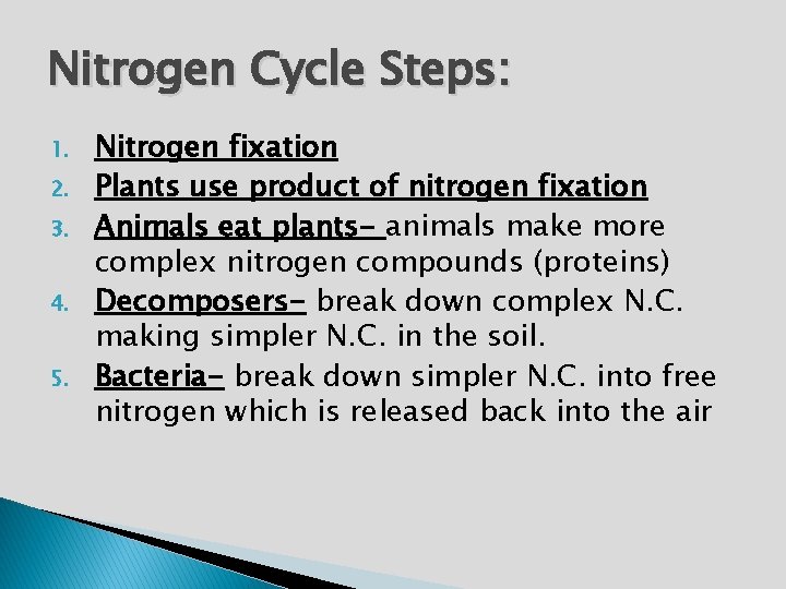 Nitrogen Cycle Steps: 1. 2. 3. 4. 5. Nitrogen fixation Plants use product of