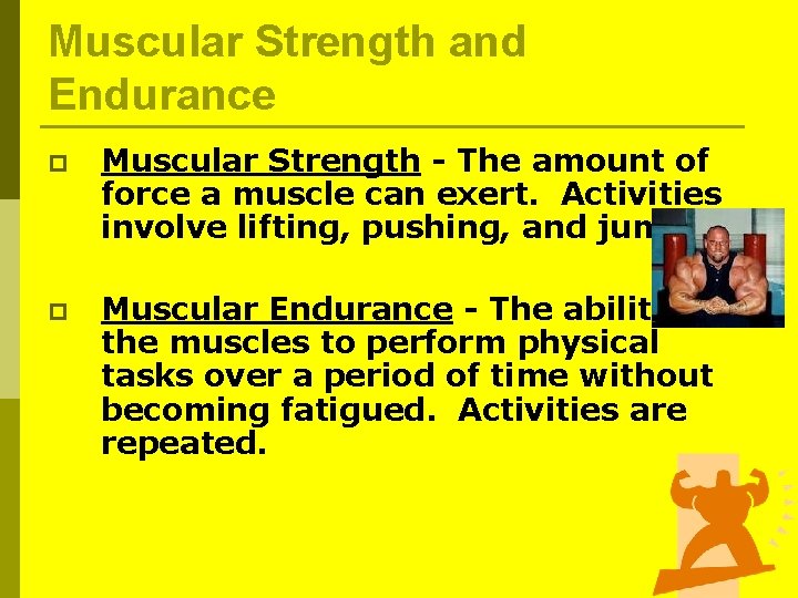 Muscular Strength and Endurance p Muscular Strength - The amount of force a muscle Muscular Strength and Endurance p Muscular Strength - The amount of force a muscle