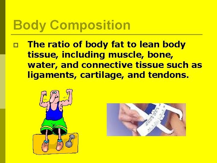 Body Composition p The ratio of body fat to lean body tissue, including muscle, Body Composition p The ratio of body fat to lean body tissue, including muscle,