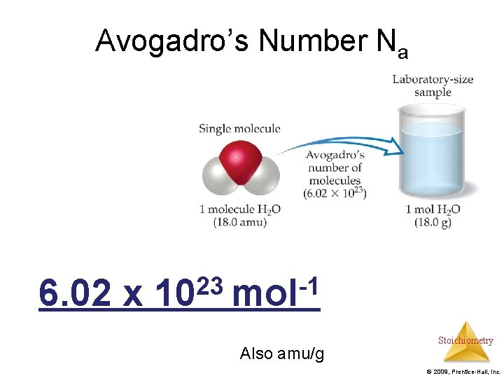 Avogadro’s Number Na 6. 02 x 23 -1 10 mol Also amu/g Stoichiometry ©