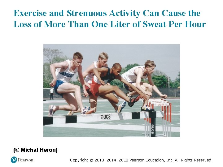 Exercise and Strenuous Activity Can Cause the Loss of More Than One Liter of