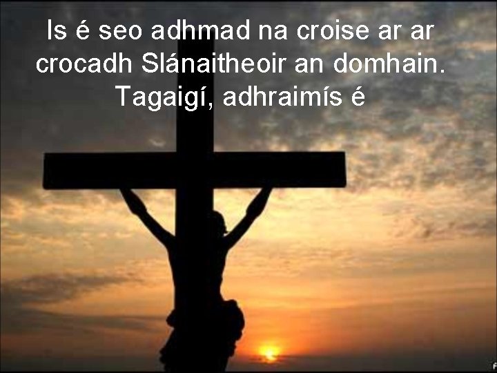 Is é seo adhmad na croise ar ar crocadh Slánaitheoir an domhain. Tagaigí, adhraimís