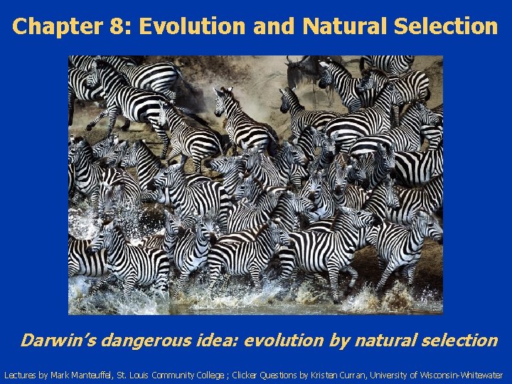 Chapter 8: Evolution and Natural Selection Darwin’s dangerous idea: evolution by natural selection Lectures