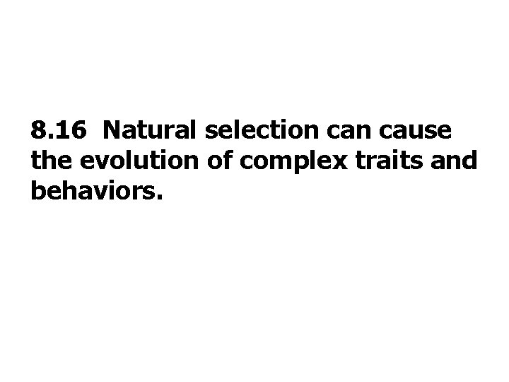 8. 16 Natural selection cause the evolution of complex traits and behaviors. 