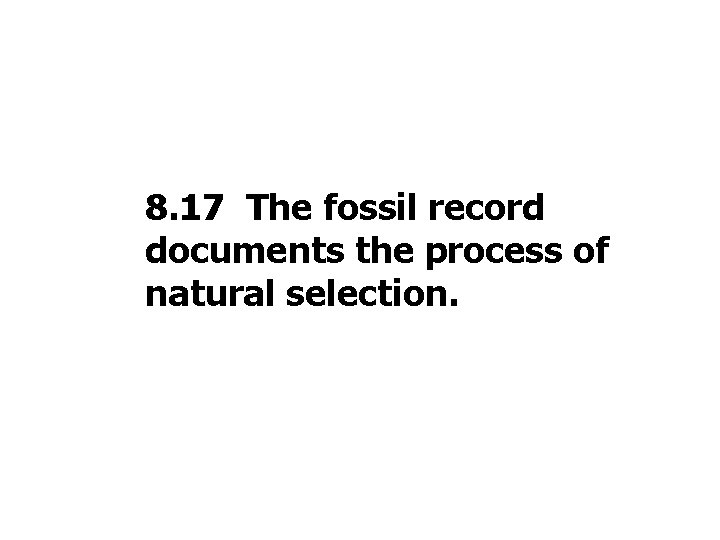 8. 17 The fossil record documents the process of natural selection. 