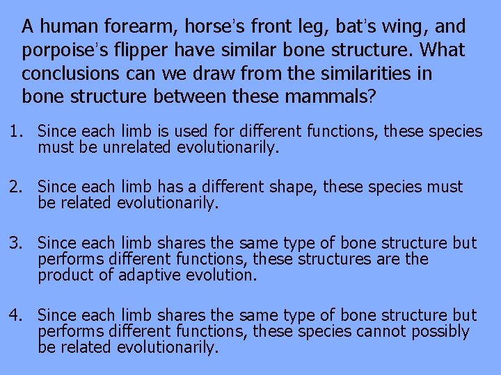 A human forearm, horse’s front leg, bat’s wing, and porpoise’s flipper have similar bone