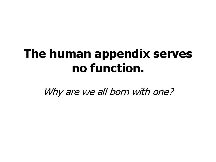 The human appendix serves no function. Why are we all born with one? 