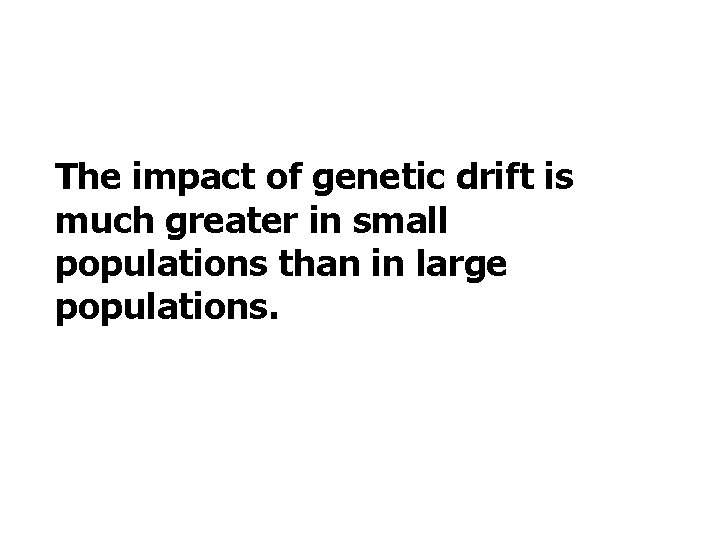 The impact of genetic drift is much greater in small populations than in large