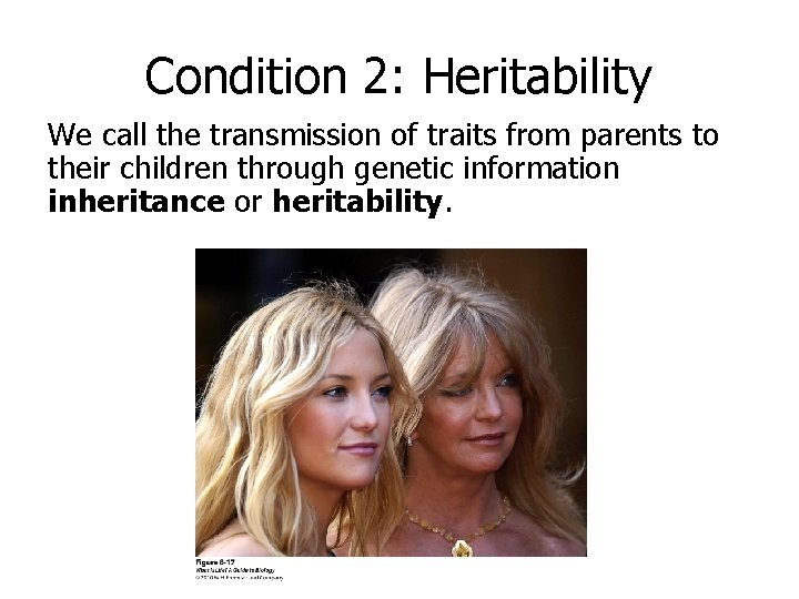 Condition 2: Heritability We call the transmission of traits from parents to their children