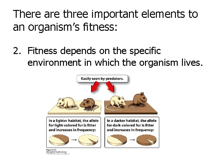 There are three important elements to an organism’s fitness: 2. Fitness depends on the