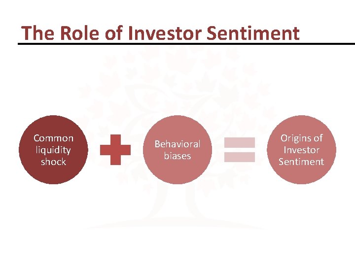 The Role of Investor Sentiment Common liquidity shock Behavioral biases Origins of Investor Sentiment