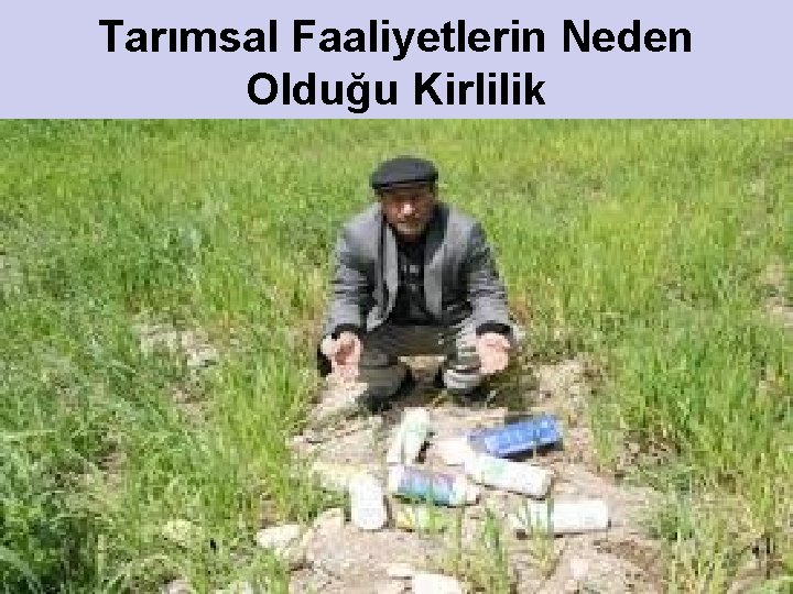 Tarımsal Faaliyetlerin Neden Olduğu Kirlilik Tarım alanlarında kullanılan pestisid (tarım ilaçları) ve herbisitler (zararlı