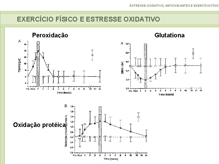ESTRESSE OXIDATIVO, ANTIOXIDANTES E EXERCÍCIO FÍSICO E ESTRESSE OXIDATIVO Peroxidação lipídica Oxidação protéica Glutationa