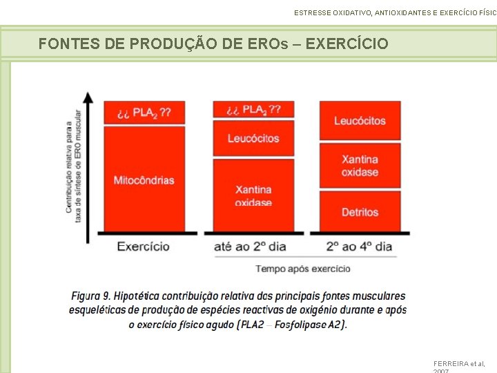 ESTRESSE OXIDATIVO, ANTIOXIDANTES E EXERCÍCIO FÍSICO FONTES DE PRODUÇÃO DE EROs – EXERCÍCIO FERREIRA