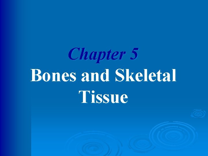 Chapter 5 Bones and Skeletal Tissue 
