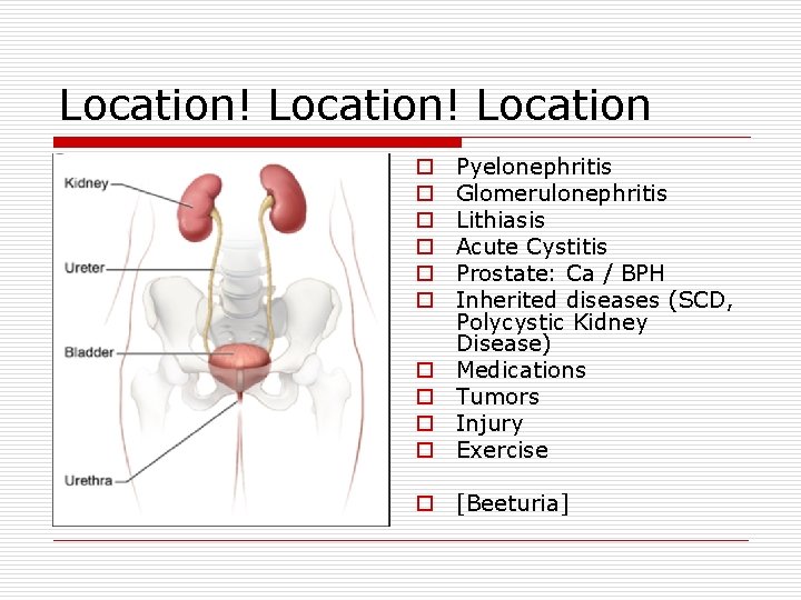 Location! Location o o o o o Pyelonephritis Glomerulonephritis Lithiasis Acute Cystitis Prostate: Ca
