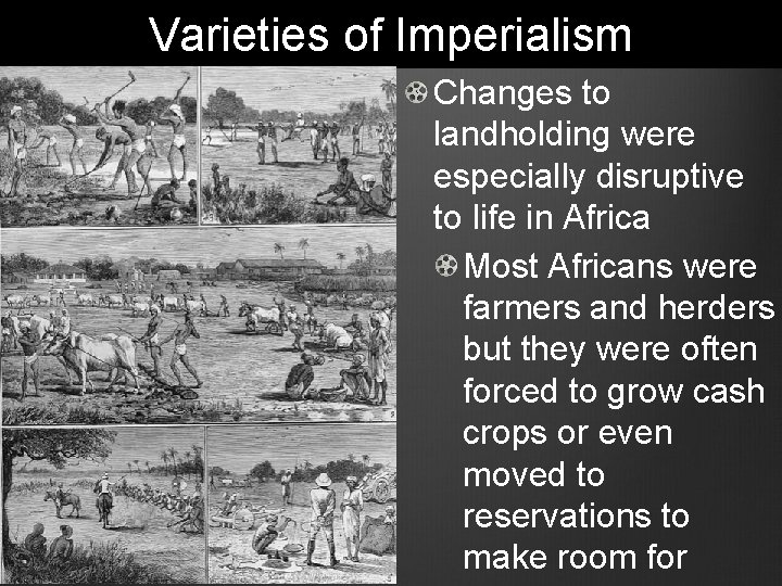 Varieties of Imperialism Changes to landholding were especially disruptive to life in Africa Most