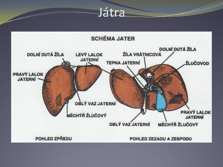 Játra 