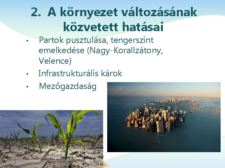 2. A környezet változásának közvetett hatásai • • • Partok pusztulása, tengerszint emelkedése (Nagy-Korallzátony,