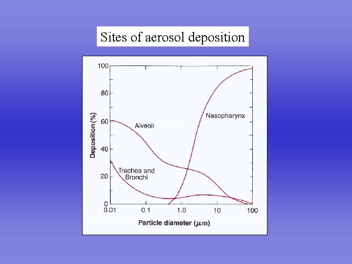 Sites of aerosol deposition Perfect Lung 