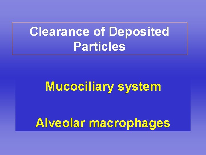 Clearance of Deposited Particles Mucociliary system Alveolar macrophages 