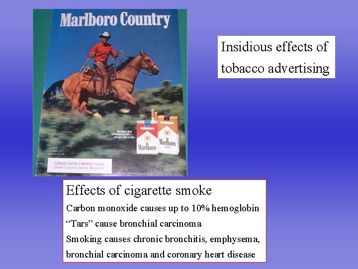 Insidious effects of tobacco advertising Effects of cigarette smoke Carbon monoxide causes up to