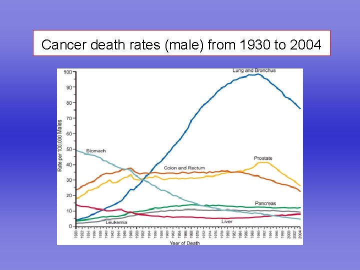 Cancer death rates (male) from 1930 to 2004 