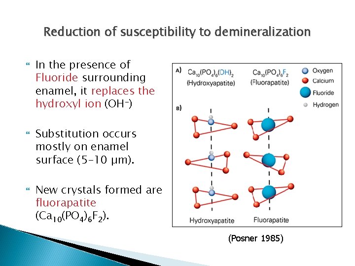 Reduction of susceptibility to demineralization In the presence of Fluoride surrounding enamel, it replaces