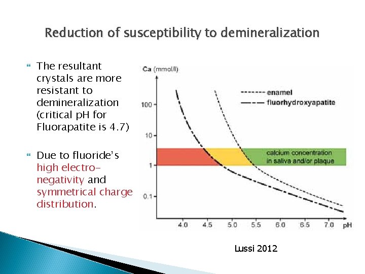 Reduction of susceptibility to demineralization The resultant crystals are more resistant to demineralization (critical