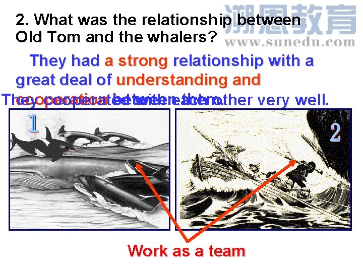 2. What was the relationship between Old Tom and the whalers? They had a