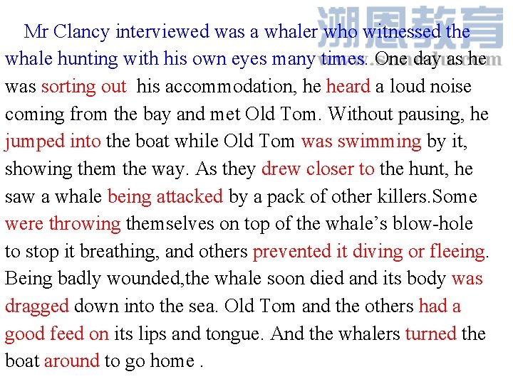 Mr Clancy interviewed was a whaler who witnessed the whale hunting with his own