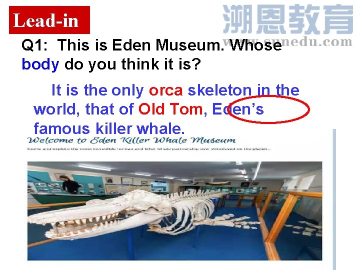 Lead-in Q 1: This is Eden Museum. Whose body do you think it is?