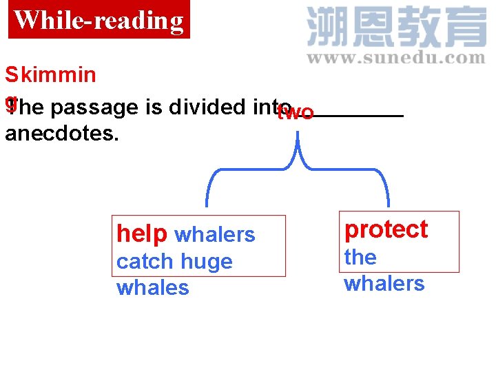 While-reading Skimmin g The passage is divided into   two anecdotes.   help whalers