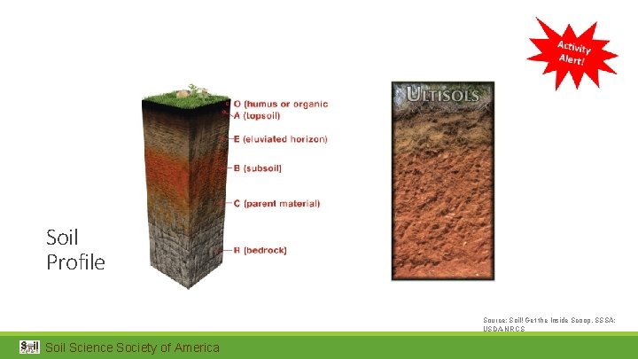 Soil Profile Source: Soil! Get the Inside Scoop, SSSA; USDA-NRCS Soil Science Society of