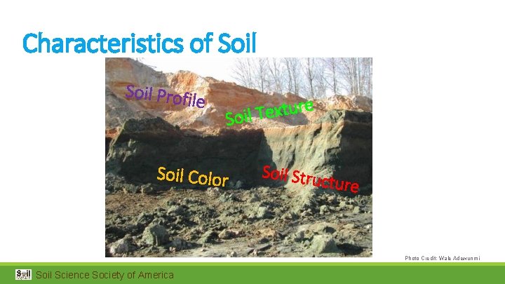 Characteristics of Soil Profi le e r u t x e T Soil Color