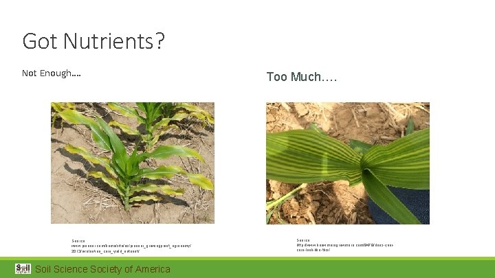 Got Nutrients? Not Enough…. Source: www. pioneer. com/home/site/us/pioneer_growingpoint_agronomy/ 2013/evaluation_corn_yield_nutrient / Soil Science Society of