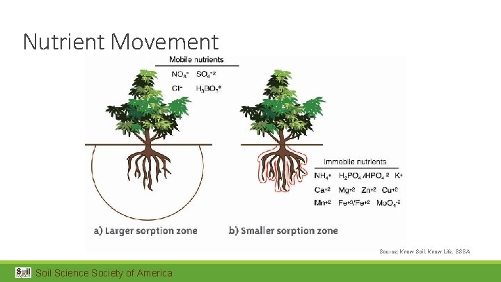 Nutrient Movement Source: Know Soil, Know Life, SSSA Soil Science Society of America 