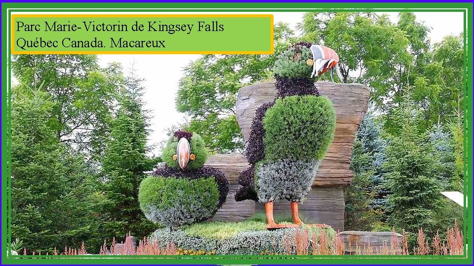 Parc Marie-Victorin de Kingsey Falls Québec Canada. Macareux 