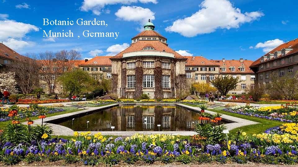 Botanic Garden, Munich , Germany 