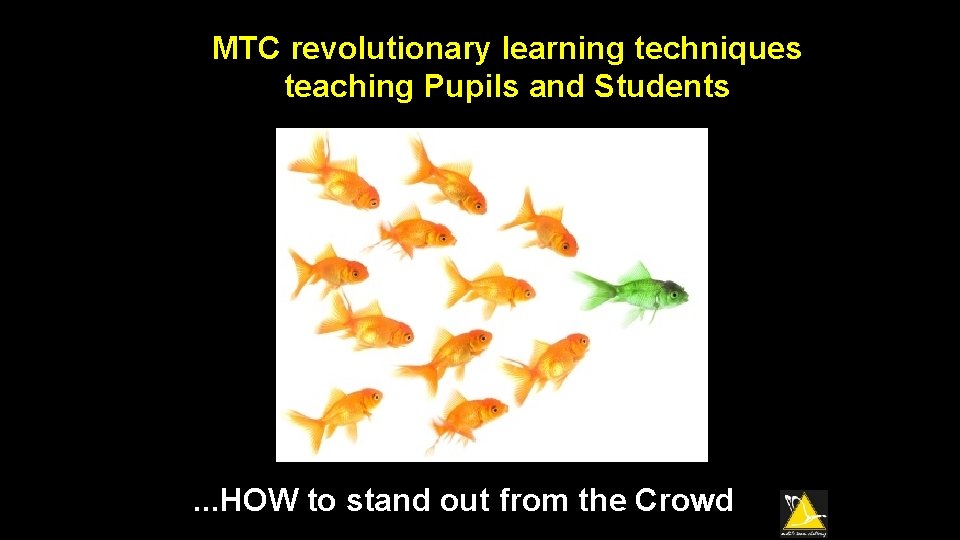 MTC revolutionary learning techniques teaching Pupils and Students . . . HOW to stand