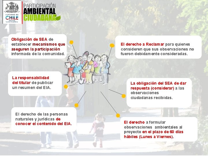 Obligación de SEA de establecer mecanismos que aseguren la participación informada de la comunidad.