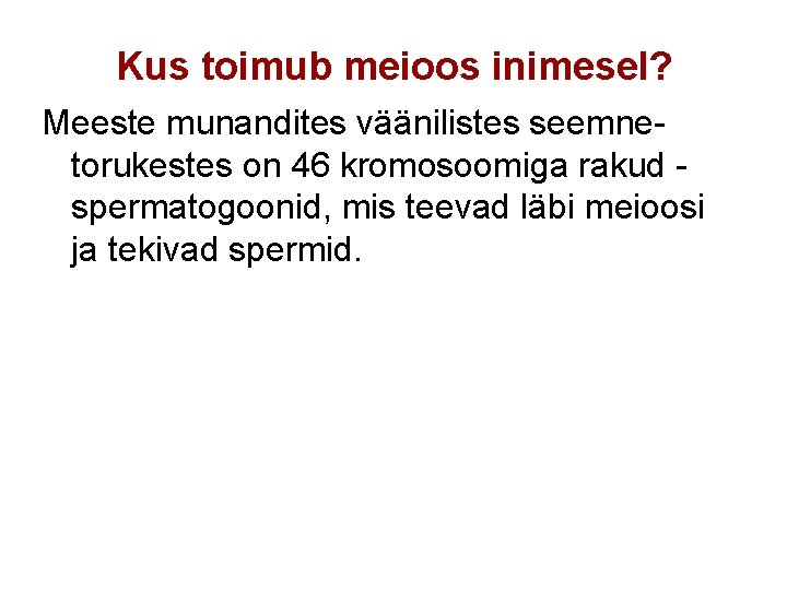 Kus toimub meioos inimesel? Meeste munandites väänilistes seemnetorukestes on 46 kromosoomiga rakud spermatogoonid, mis