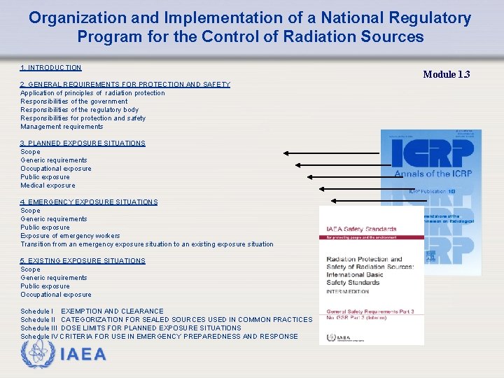 Organization and Implementation of a National Regulatory Program for the Control of Radiation Sources