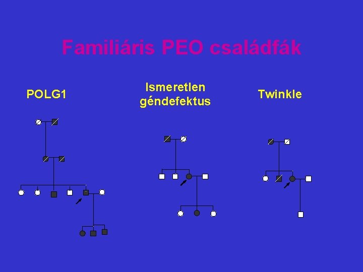  Familiáris PEO családfák POLG 1 Ismeretlen géndefektus Twinkle 