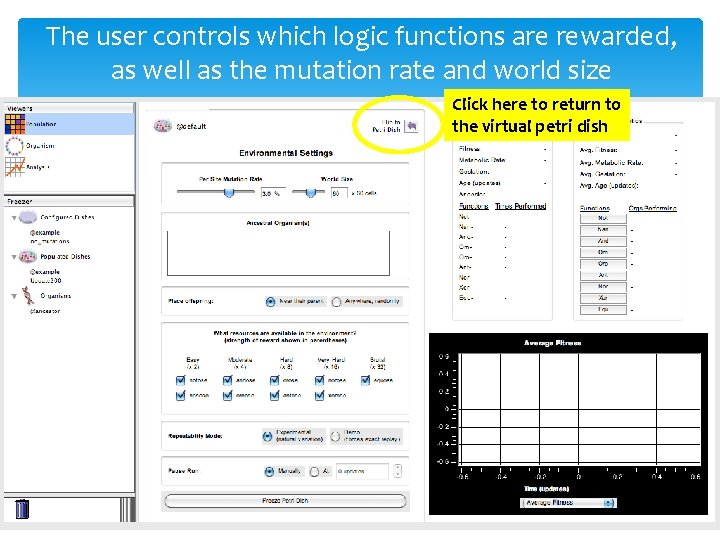 The user controls which logic functions are rewarded, as well as the mutation rate