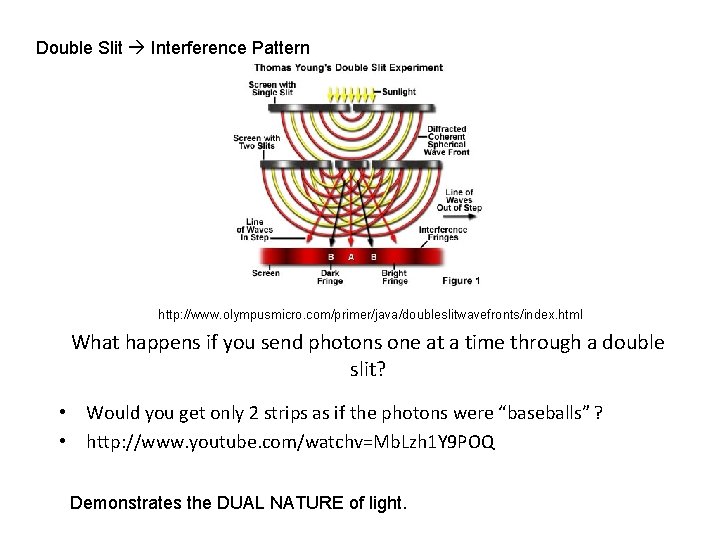 Double Slit Interference Pattern http: //www. olympusmicro. com/primer/java/doubleslitwavefronts/index. html What happens if you send