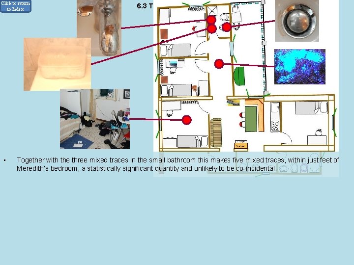 Click to return to Index • 6. 3 The Luminol Results Sweat according to