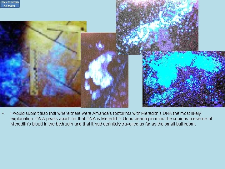 Click to return to Index • 6. 3 The Luminol Results Sweat according to