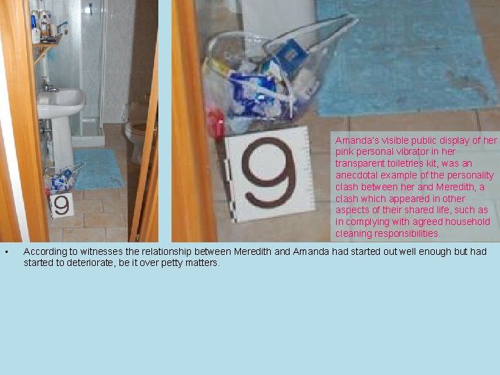 Click to return to Index • • • • 11. Miscellaneous Evidence Amanda and