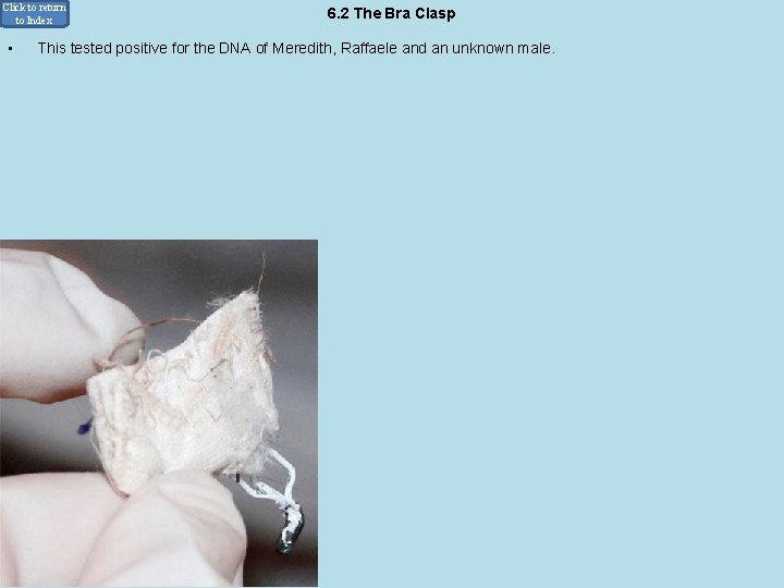 Click to return to Index • 6. 2 The Bra Clasp This tested positive